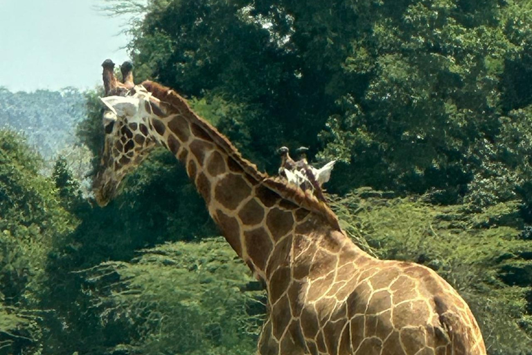 Nairobi: Hell's Gate National Park Guided Day Trip