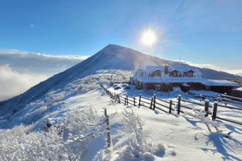 From Seoul: Winter Wonder Tour, Mt. Seorak & Eobi Ice Valley Meeting point: Hongik Univ.Station Exit No.8