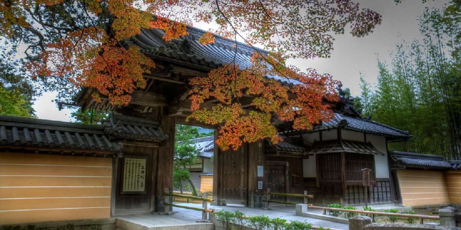 Kyoto experience — temples, geisha, bamboo grove — image 21