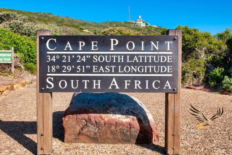 Da CapeTown:Tour di un giorno intero al Capo di Buona Speranza&amp;Cape Point