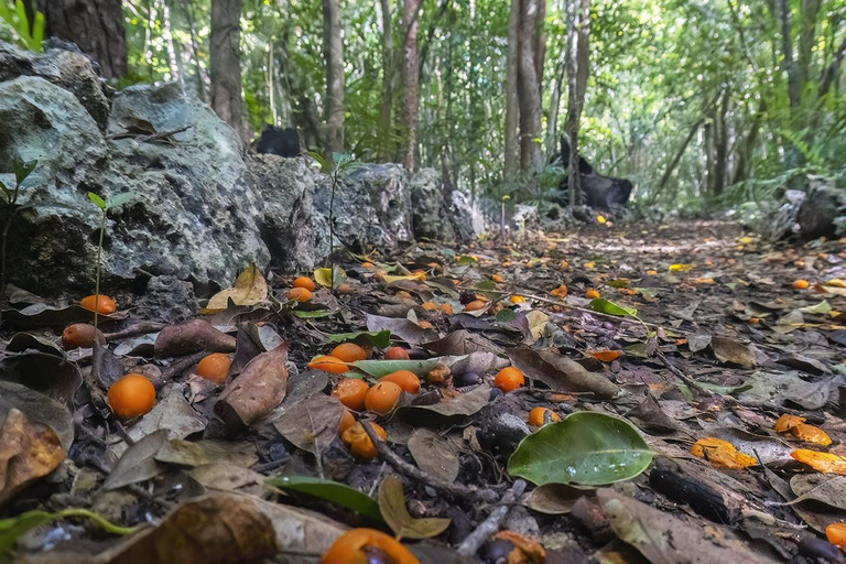 Punta Cana Cenote: Floating Sound Healing & Swim