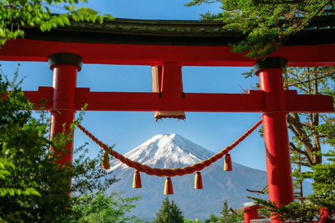 Mt. Fuji & Hakone Tour: Arakurayama, OshinoHakkai, Owakudani Tokyo Station | 7:30 AM Departure with English Guide