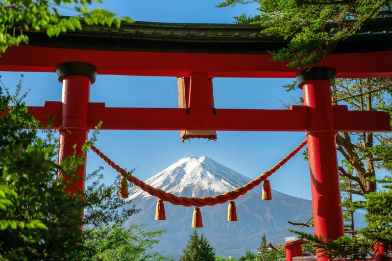 Mt. Fuji & Hakone Tour: Arakurayama, OshinoHakkai, Owakudani Tokyo Station | 7:30 AM Departure with English Guide