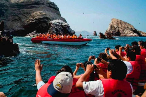 Ica : excursion d&#039;une journée dans les îles Ballestas et la réserve nationale de Paracas