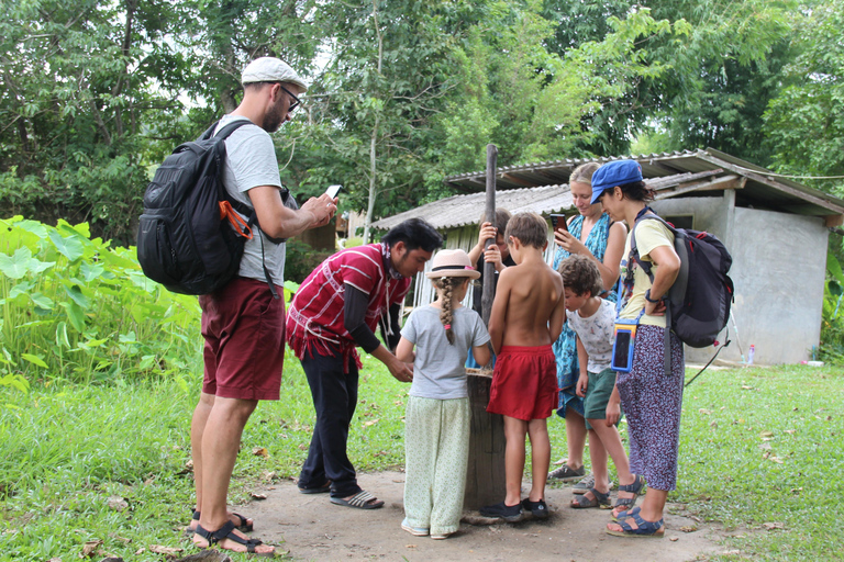 Chiang Mai: Elephant Sanctuary, Waterfall & Bamboo Rafting