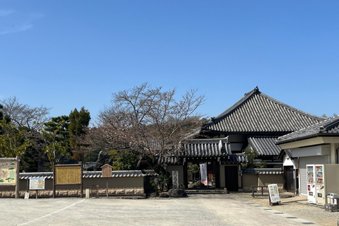 أسوكا: جولة إرشادية خاصة في عاصمة اليابان القديمةخدمة المرشدين فقط