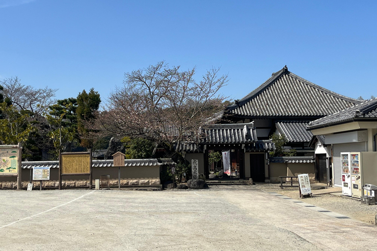 أسوكا: جولة إرشادية خاصة في عاصمة اليابان القديمةخدمة المرشدين فقط