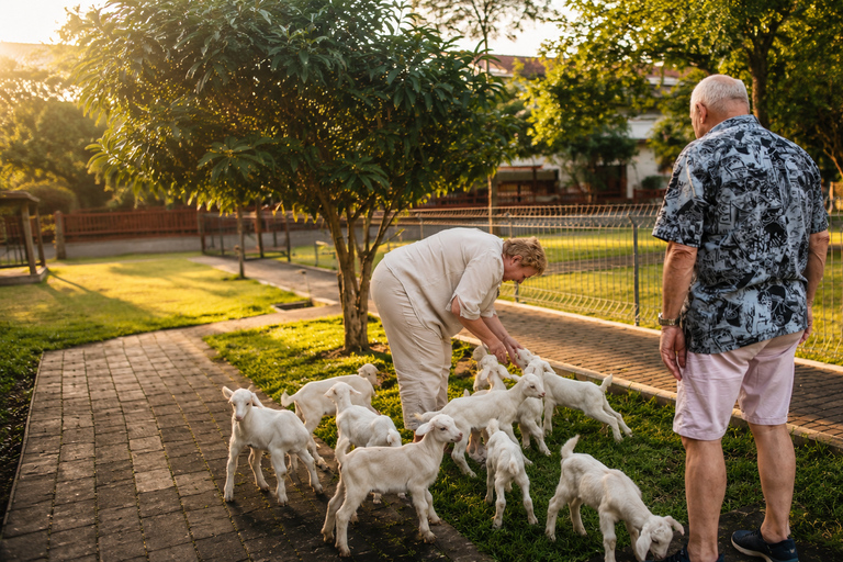 Yogyakarta: Goat Farm Experience with Dairy Tasting