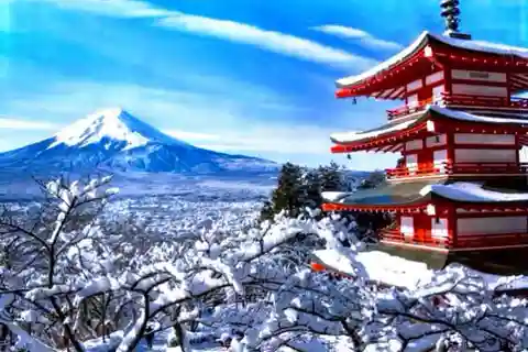 From Tokyo: Mount Fuji Customize Private Day Tour