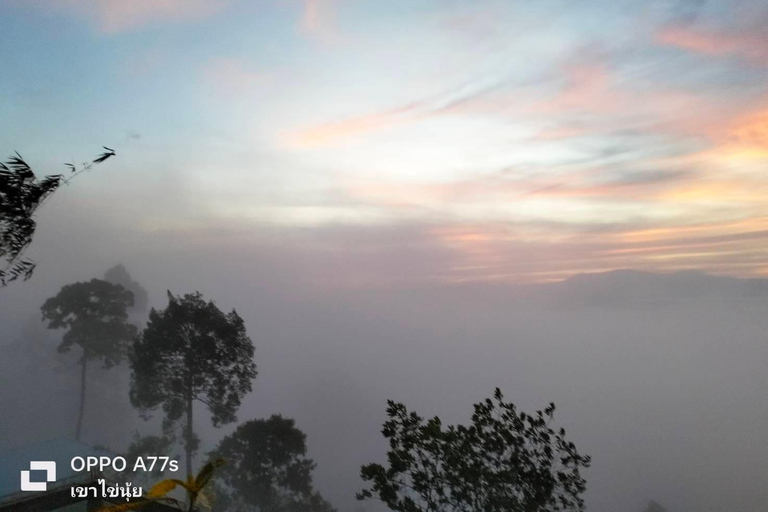 Khao Lak: Mar de neblina na colina e nascer do sol em Khao Khai Nui