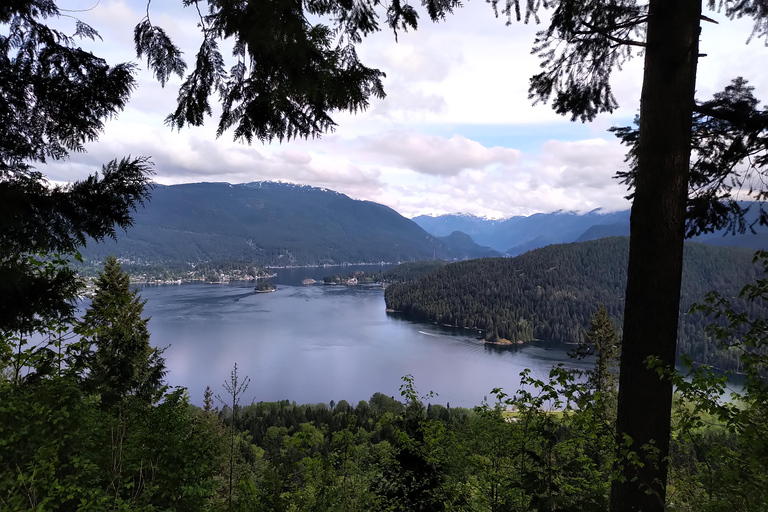 Vancouver Die große Stadtrundfahrt