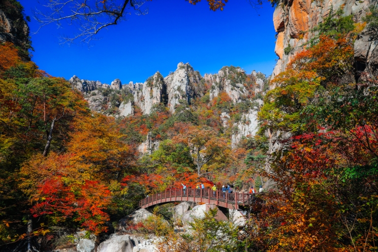From Seoul: Mt Seorak Hike and Naksansa Temple/ Nami Island Nami Shared Tour, Meet at Myeongdong Station