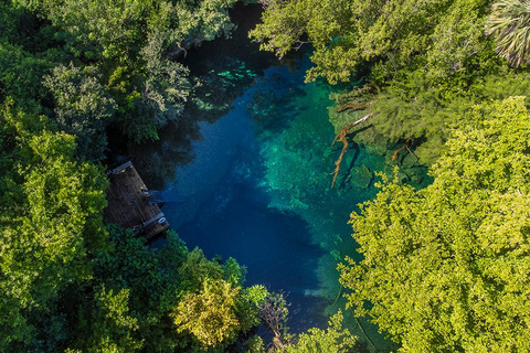 Punta Cana Cenote: Floating Sound Healing & Swim