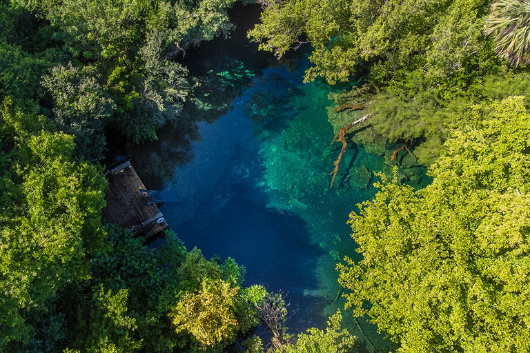 Punta Cana Cenote: Floating Sound Healing & Swim