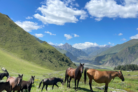 Private Stepantsminda: Dariali, Giant Sculptures, Waterfalls