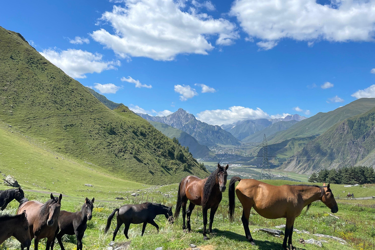 Private Stepantsminda: Dariali, Giant Sculptures, Waterfalls