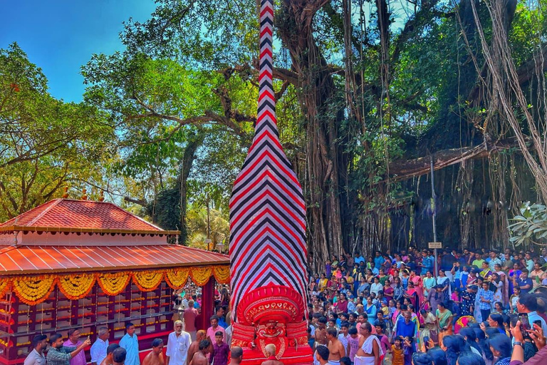 Kochi: 3-daagse Kannur-tour met weven en Theyyam-show