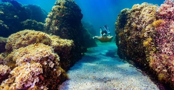 Rovinj: Lim Fjord Snorkeling, Pirate Cave Cliff Jumping Tour