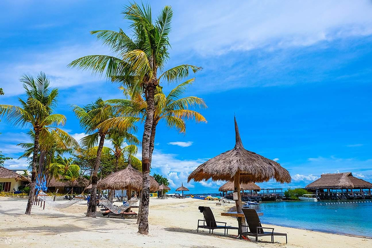 Bluewater Maribago Beach Resort Entry Ticket