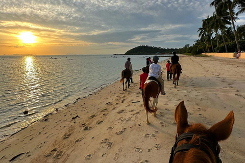 Viaje a caballo por la playa al atardecer de Phuket