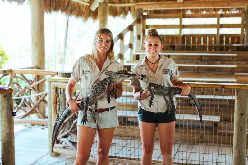 Everglades National Park: Airboat Tour and Wildlife Show | GetYourGuide