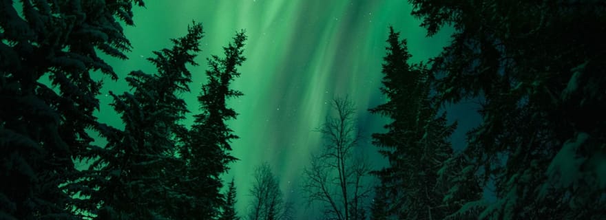 Levi : chasse privée aux aurores boréales dans la nature sauvage