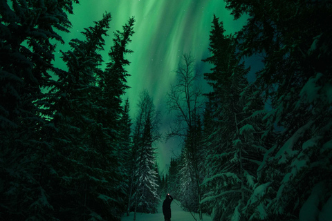 LEVI Adults Only Northern Lights Hunt (ALL INCLUDED) Adults Only Aurora Hunt in the Finnish wilderness
