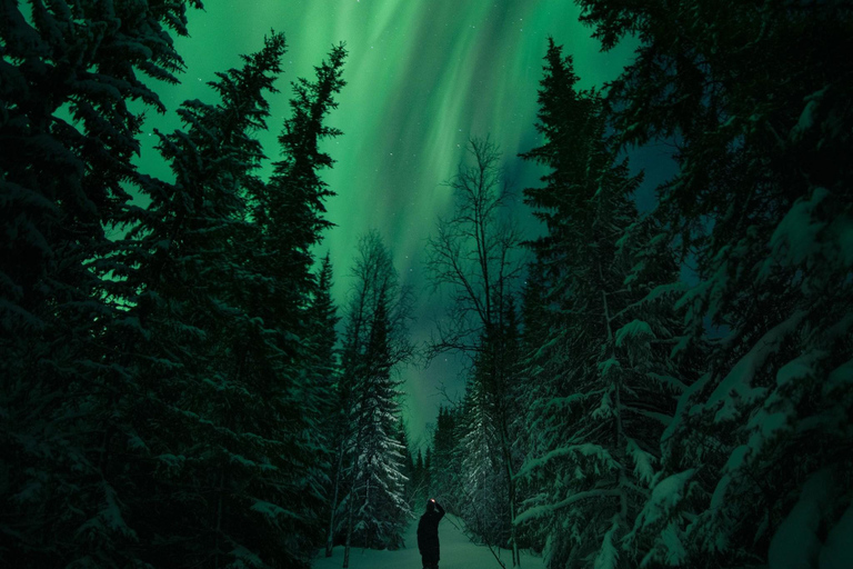 LEVI Adults Only Northern Lights Hunt (ALL INCLUDED) Adults Only Aurora Hunt in the Finnish wilderness