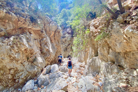 Creta: Tour guiado de senderismo por el Cañón de Kritsa