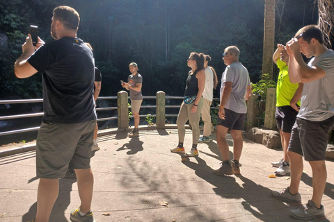 Rio de Janeiro: En promenad i Tijuca-skogen