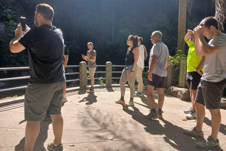 Rio de Janeiro: Spacer po lesie Tijuca