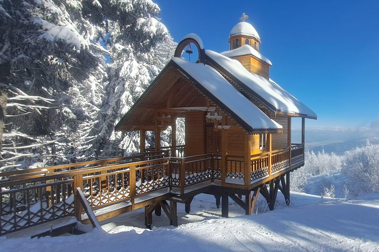 Sofia: Vitosha National Park Snowshoe Hike with Lunch