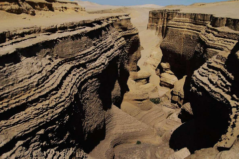 Depuis Ica || Excursion d&#039;une journée complète au Canyon de Los Perdidos ||