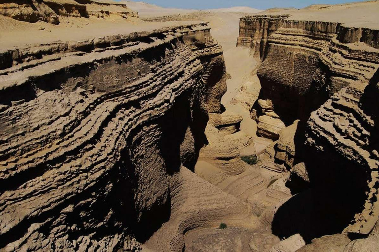 Depuis Ica || Excursion d&#039;une journée complète au Canyon de Los Perdidos ||