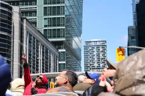 Toronto: Hop-On/Hop-Off-Bus-Tour mit Hafenrundfahrt