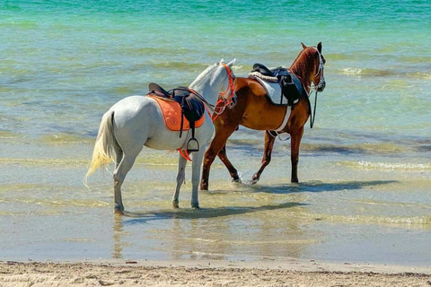 Djerba: Horseback Riding Adventure with Transfer