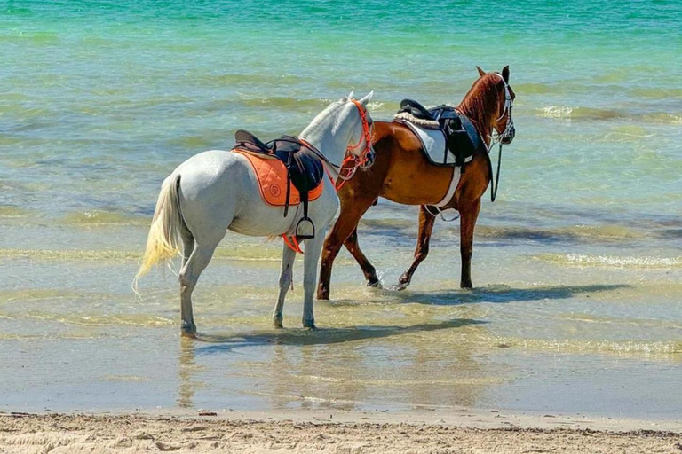 Djerba: Horseback Riding Adventure with Transfer