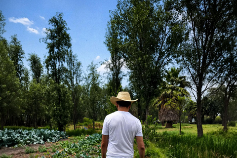 Xochimilco: Chinampa and Axolotl Boat Tour