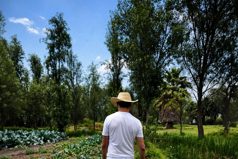 Xochimilco: Chinampa and Axolotl Boat Tour
