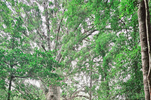 Baia delle Isole - Tour avventura nella natura
