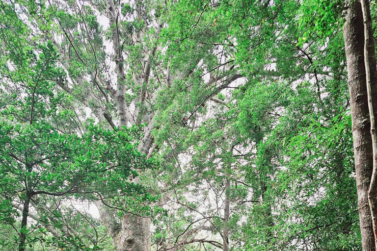Baia delle Isole - Tour avventura nella natura