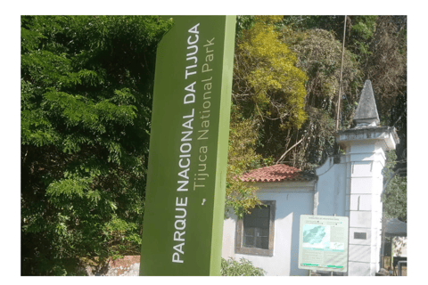 Tijuca Forest