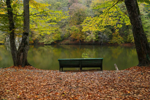 Tavush-regionen: Höjdpunkt - Dilijan nationalpark