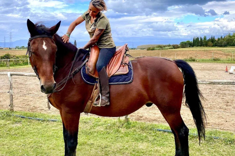 Hills of Pisa: Horseback Riding with Lunch or Dinner in a Restaurant 2-hour ride with lunch or dinner