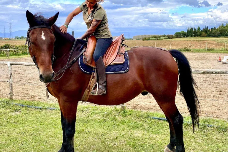 Hills of Pisa: Horseback Riding with Lunch or Dinner in a Restaurant 2-hour ride with lunch or dinner