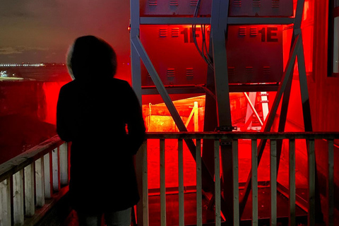 Epic Niagara Falls Private Tour w/ Tour, Fahrt &amp; Boot