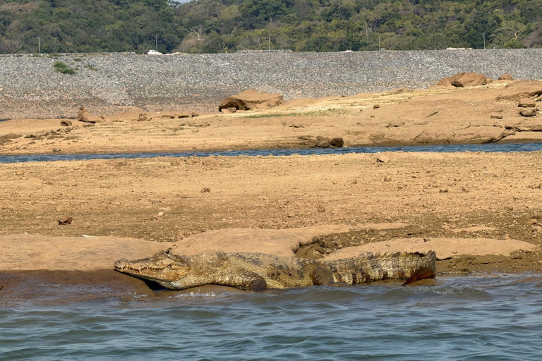 Ella: Gal Oya National Park Wildlife Boat Safari with Pickup