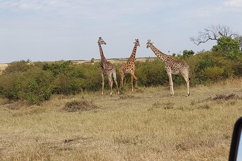 Nairobi: 3-Day Amboseli and Tsavo East Safari with Meals