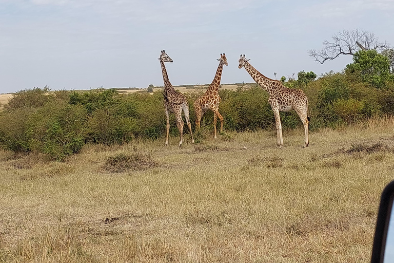 Nairobi: 3-Day Amboseli and Tsavo East Safari with Meals