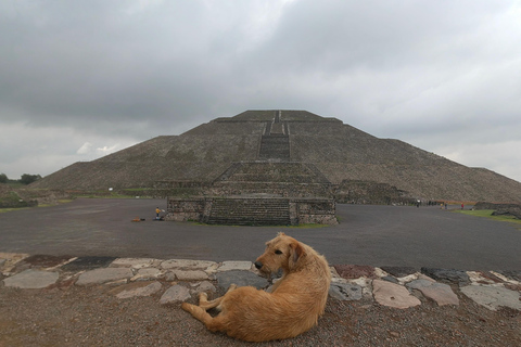 Visite de Teotihuacan avec prise en charge au Parque Mexico